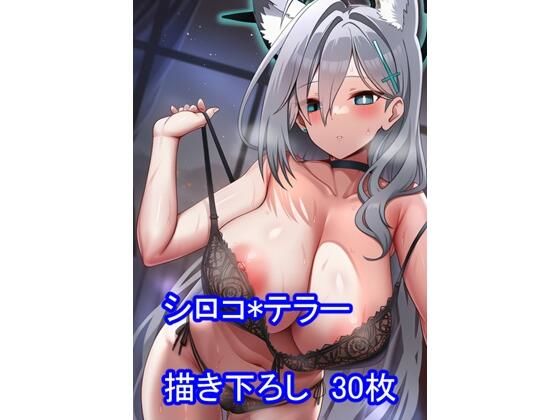 D 763935pl