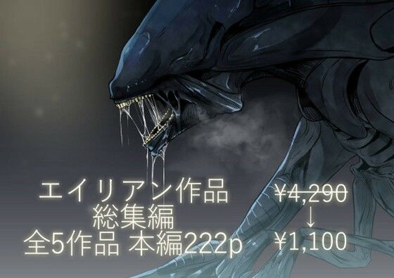D 443986pl