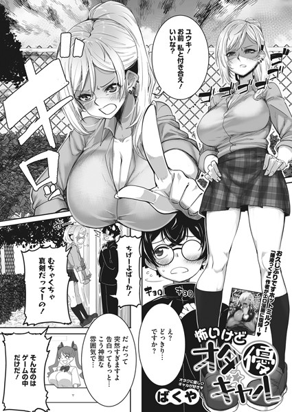 S011akamj01330pl
