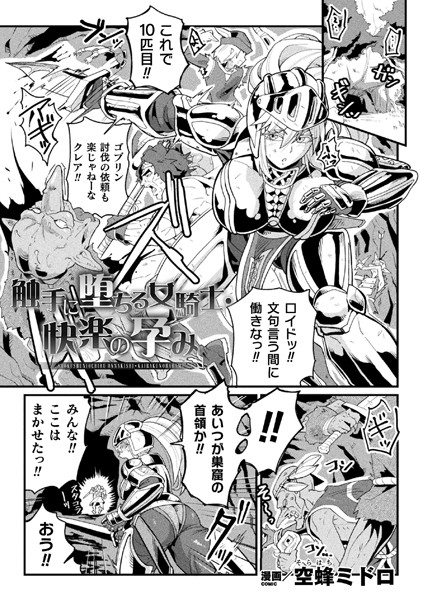 B073bktcm03380pl