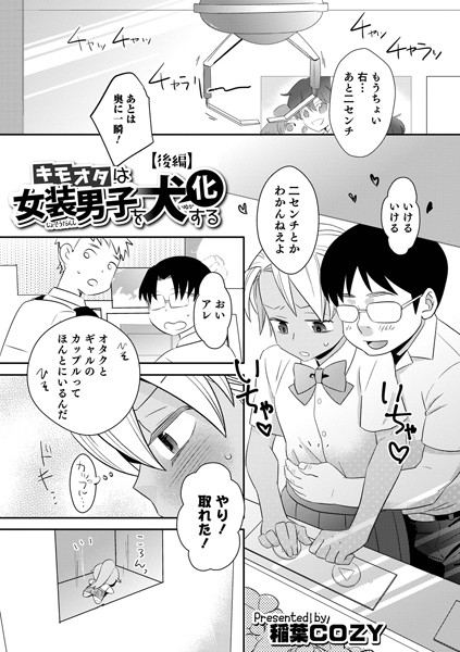B137amdax01078pl