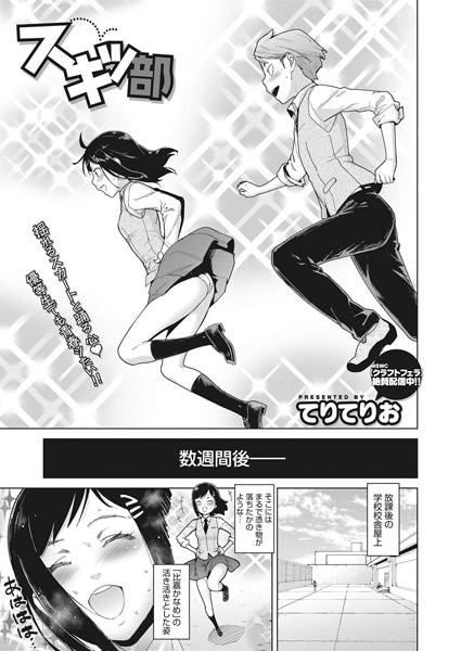 S011akamj00535pl